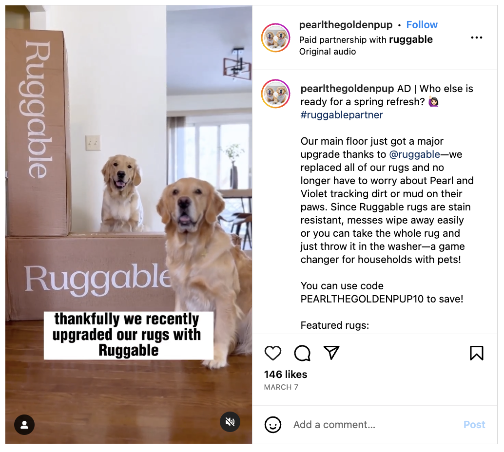 Screenshot of Instagram account - two golden retrievers promoting rug.